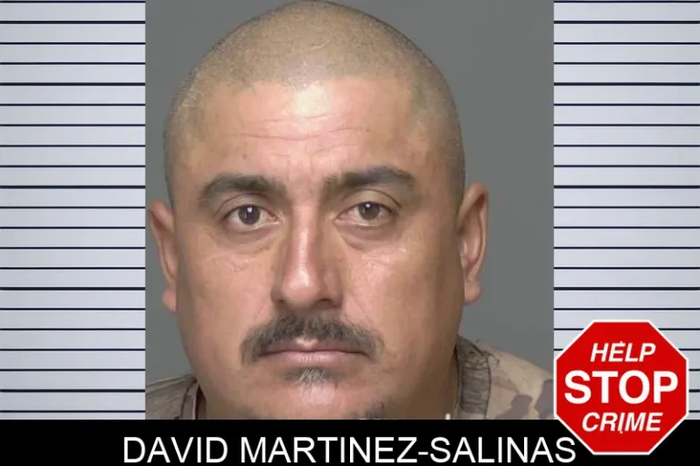 David Martinez-Salinas