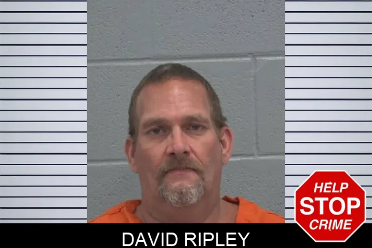 David Ripley