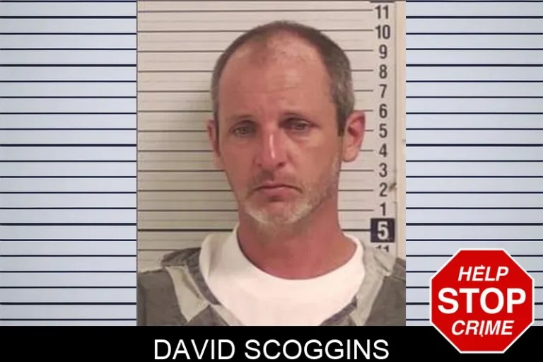 David Scoggins