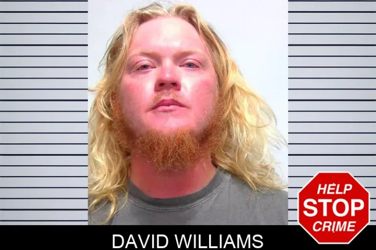 David Williams