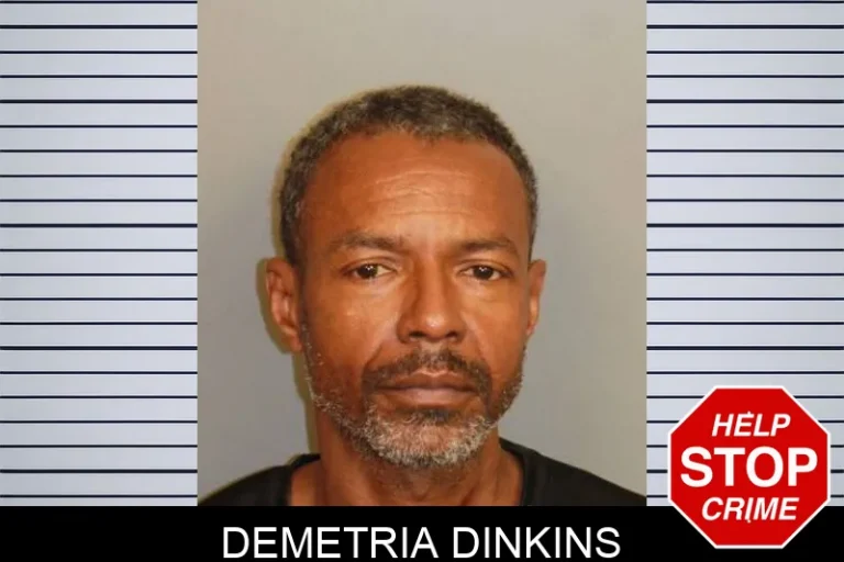 Demetria Dinkins
