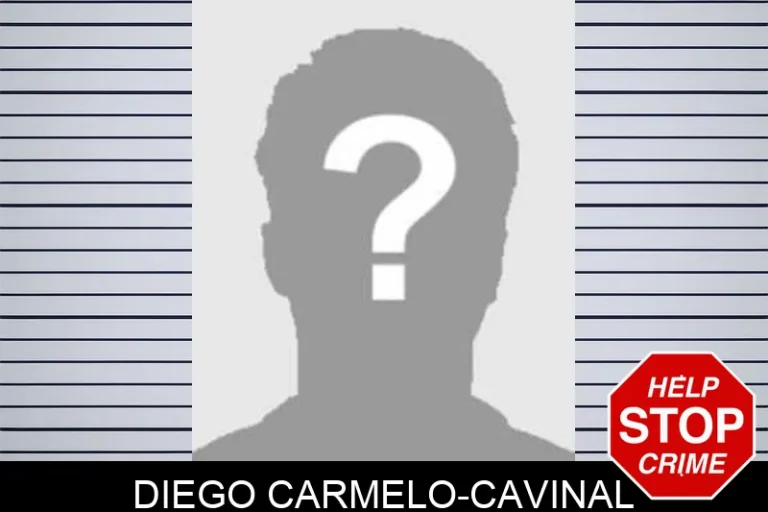 Diego Carmelo-Cavinal