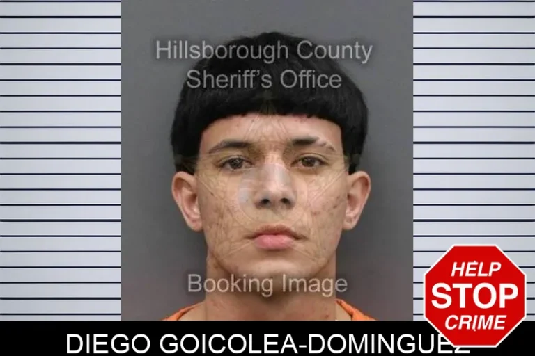Diego Goicolea-Dominguez