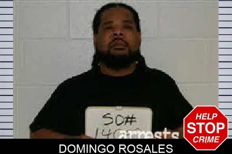 Domingo Rosales