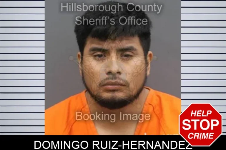 Domingo Ruiz-Hernandez
