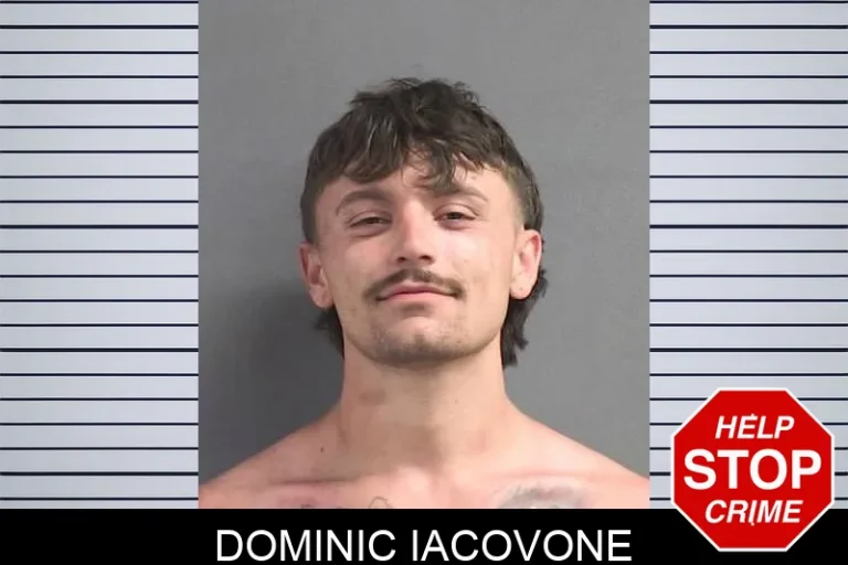 Dominic Iacovone
