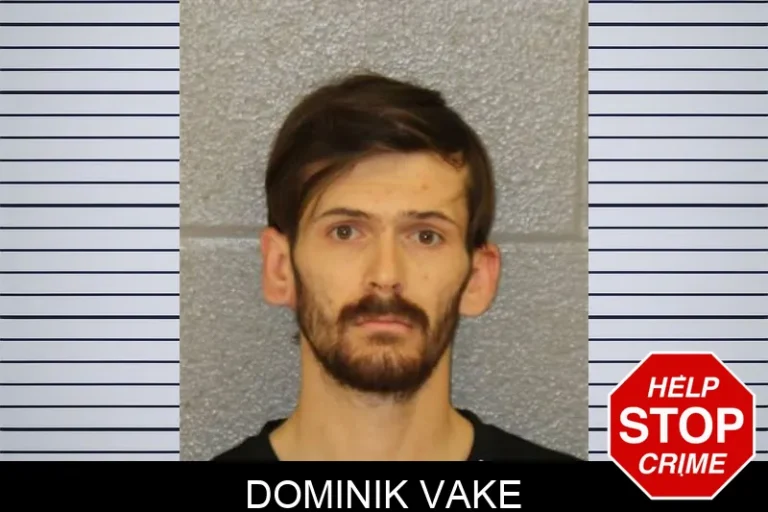 Dominik Vake