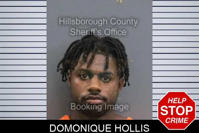 Domonique Hollis