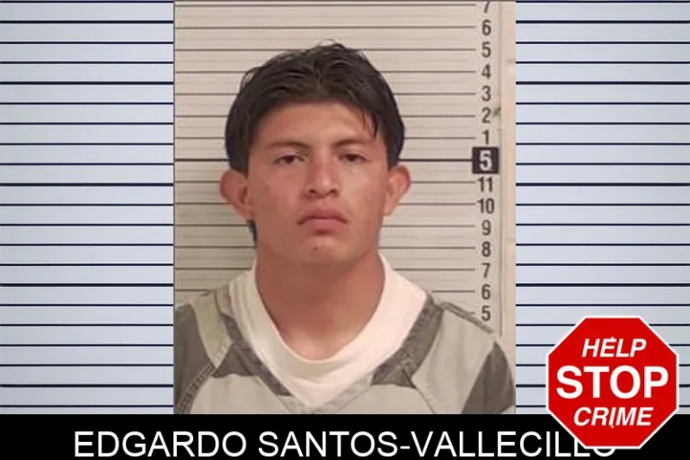 Edgardo Santos-Vallecillo