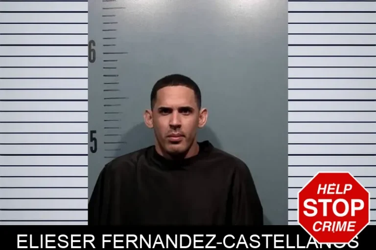 Elieser Fernandez-Castellanos