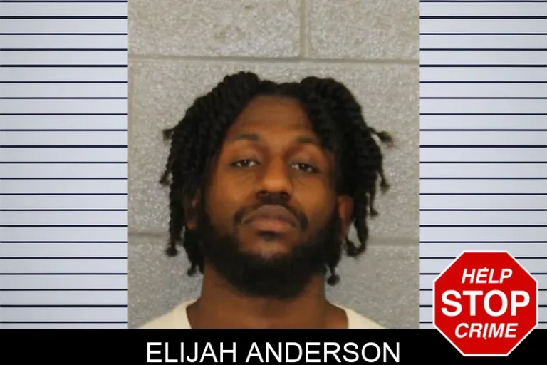 Elijah Anderson