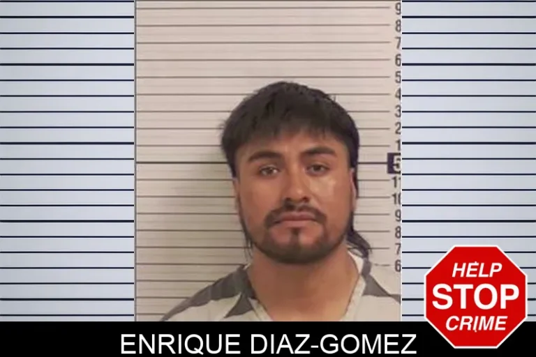 Enrique Diaz-Gomez