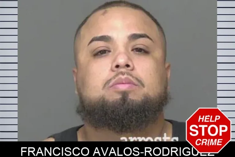 Francisco Avalos-Rodriguez