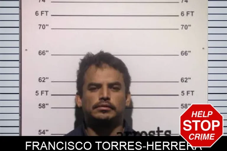 Francisco Torres-Herrera