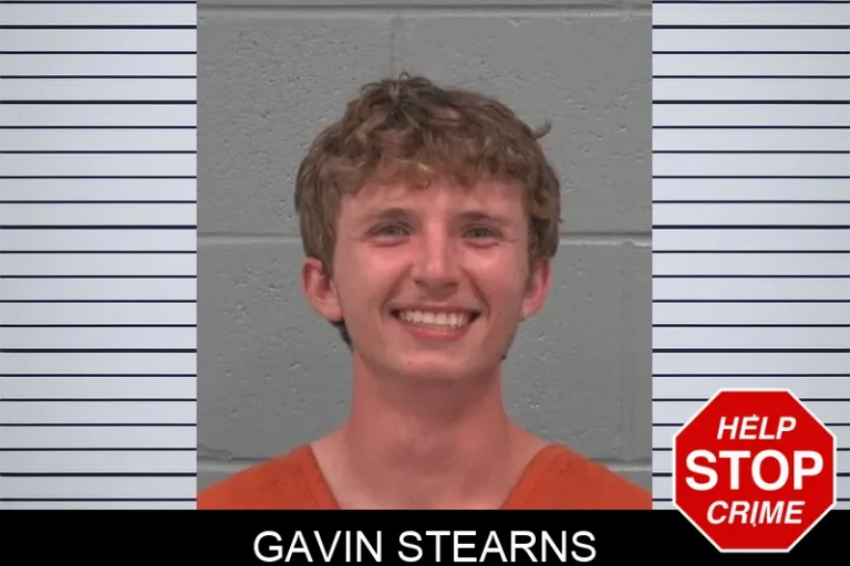 Gavin Stearns