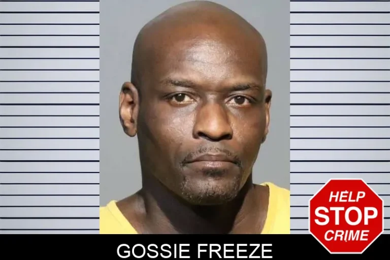 Gossie Freeze