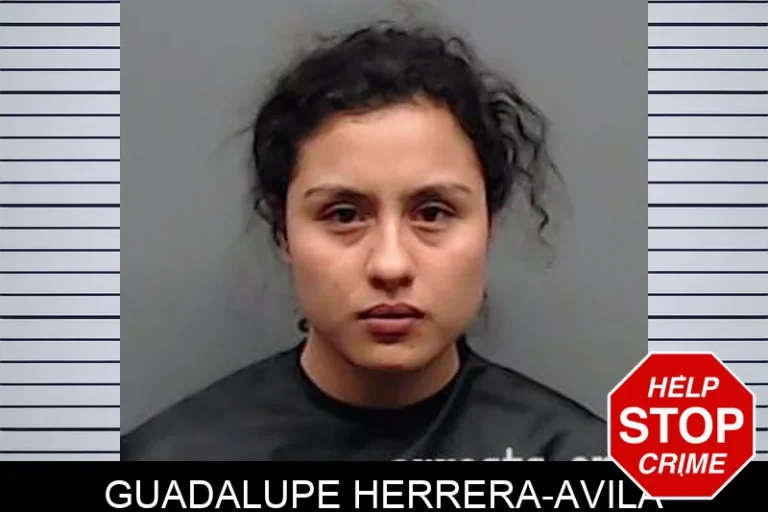 Guadalupe Herrera-Avila