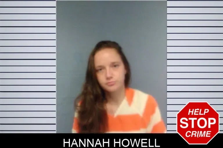 Hannah Howell
