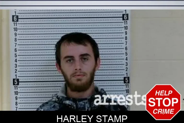 Harley Stamp
