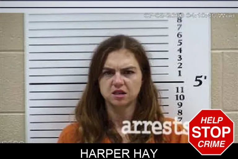 Harper Hay