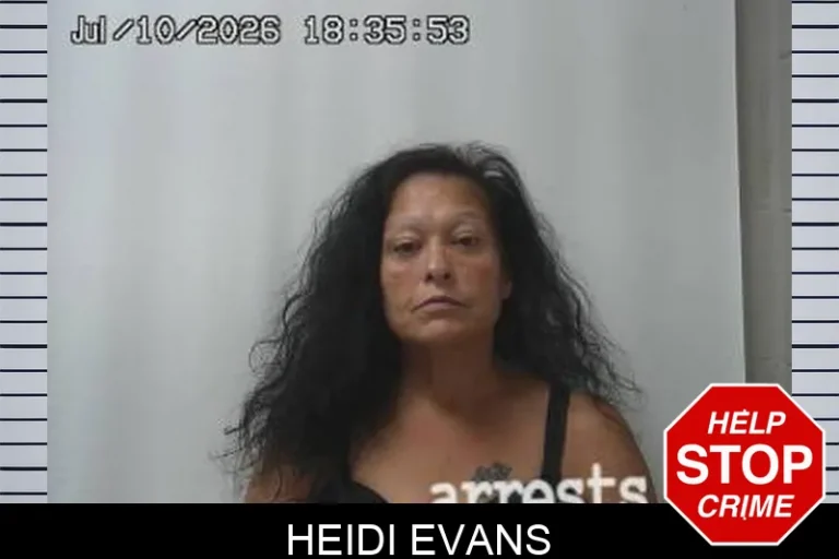 Heidi Evans