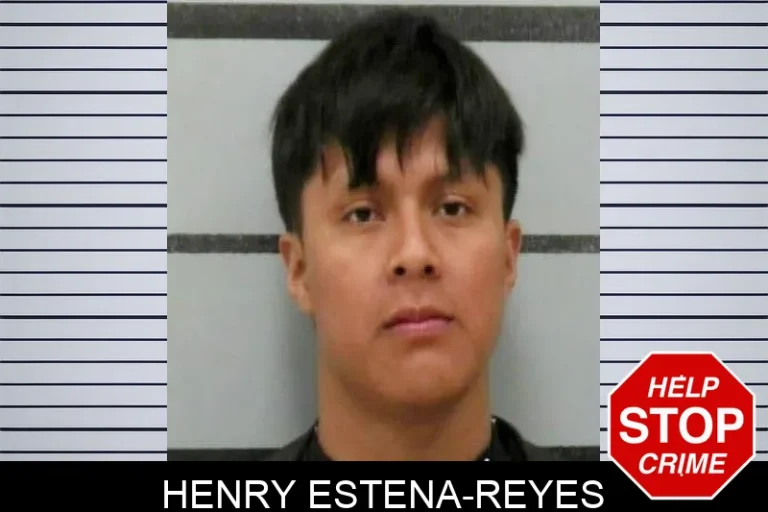 Henry Estena-Reyes