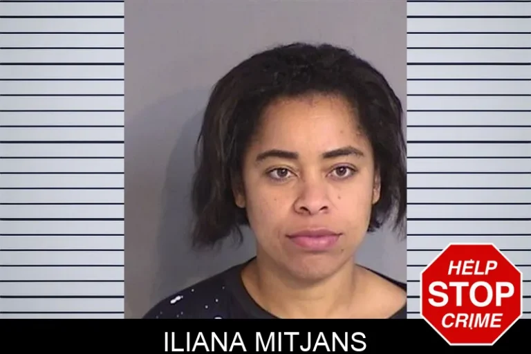 Iliana Mitjans