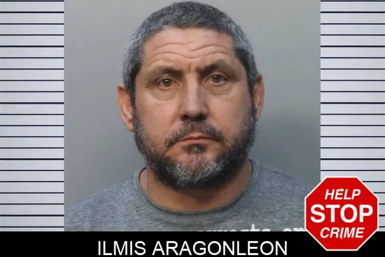 Ilmis Aragonleon