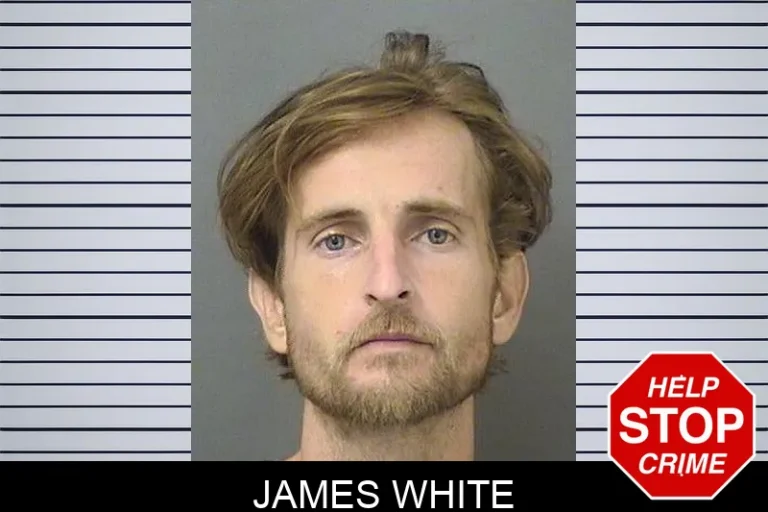 James White