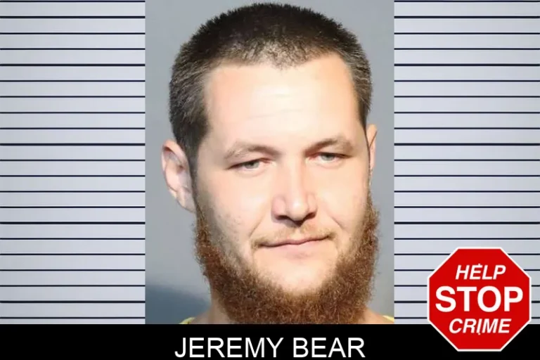 Jeremy Bear