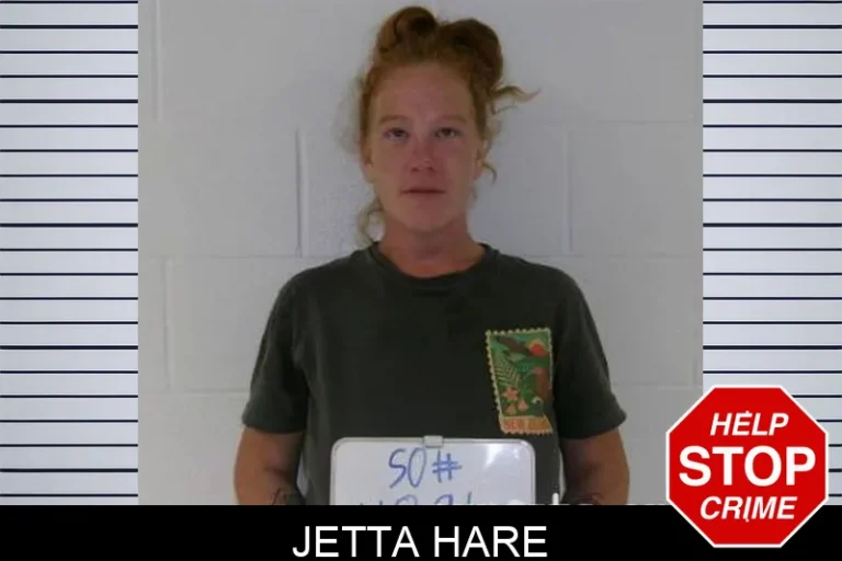 Jetta Hare