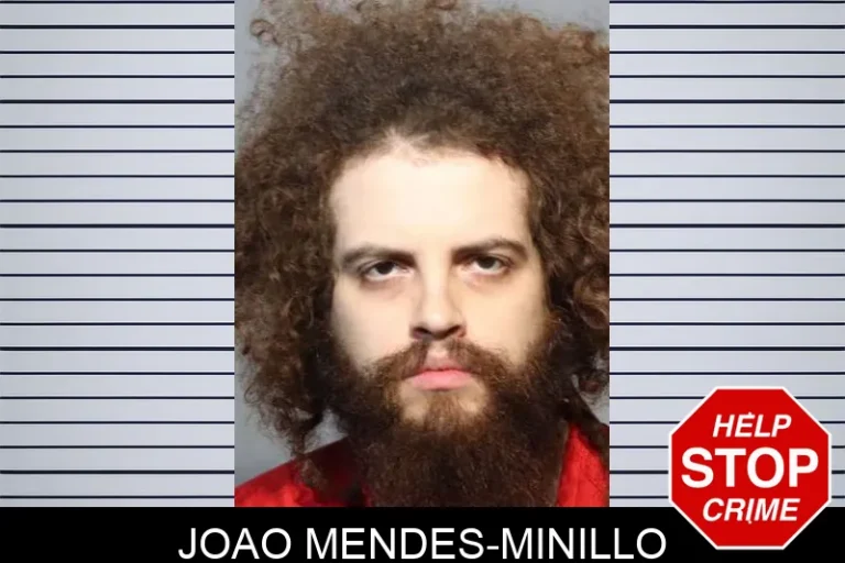 Joao Mendes-Minillo
