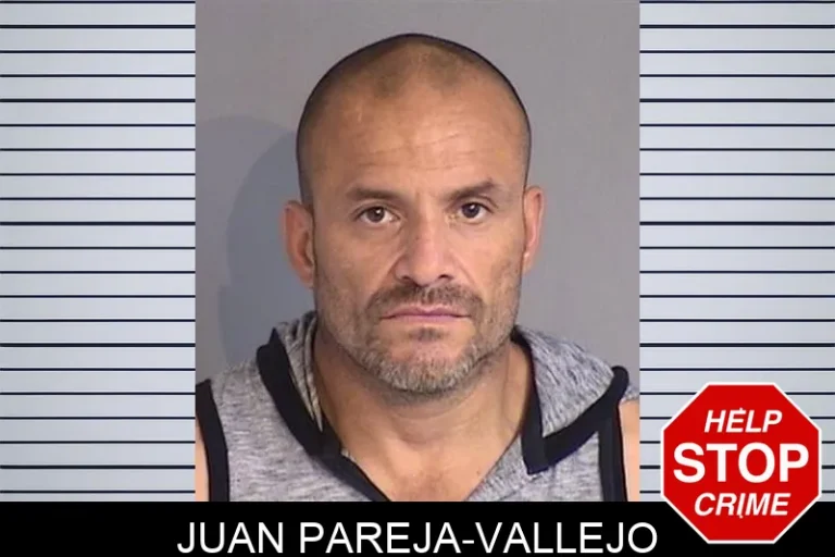 Juan Pareja-Vallejo