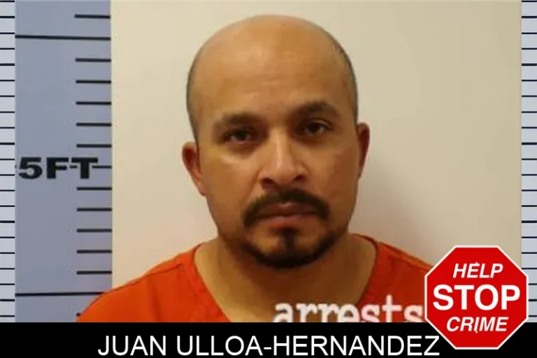 Juan Ulloa-Hernandez