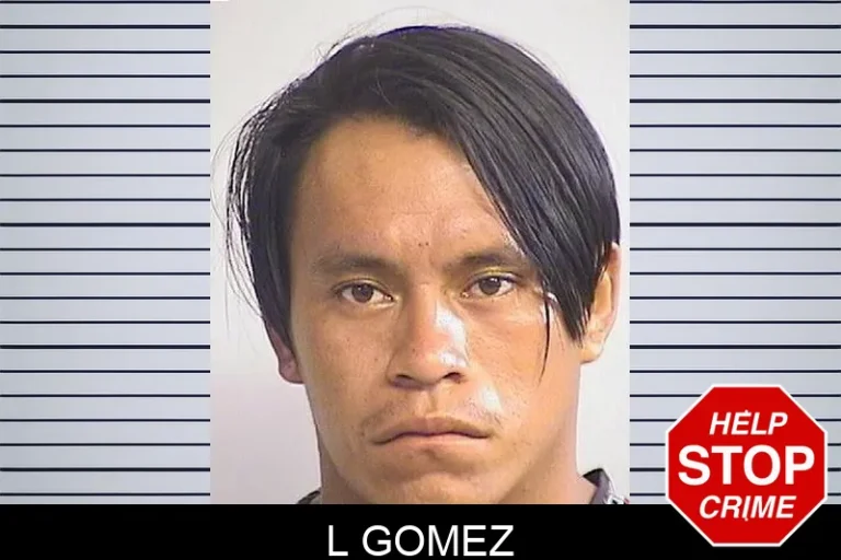 L Gomez