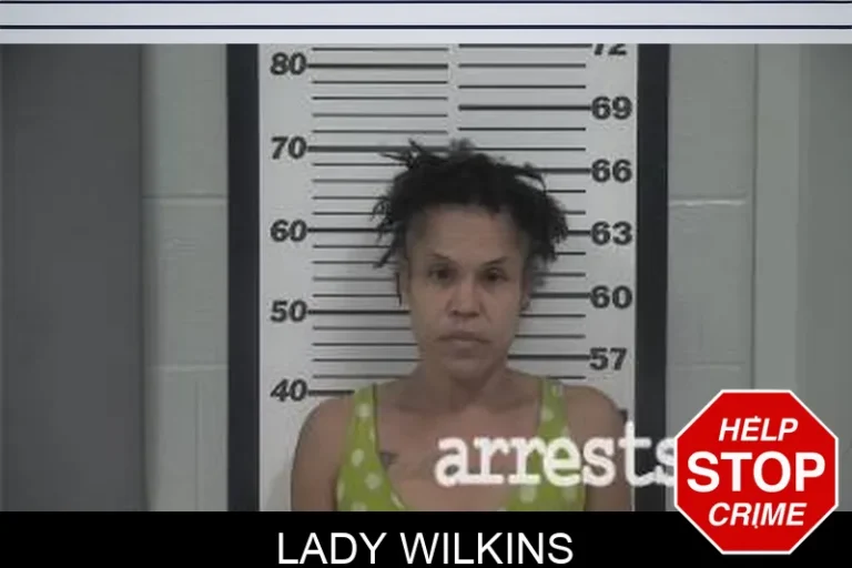 Lady Wilkins