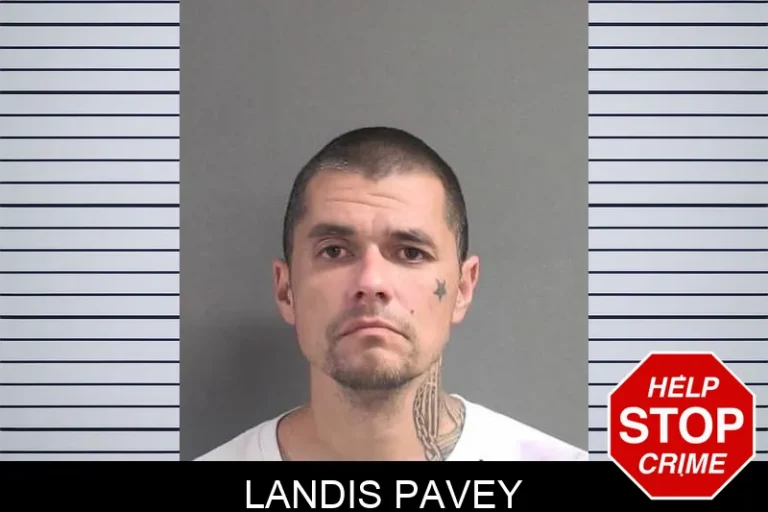 Landis Pavey