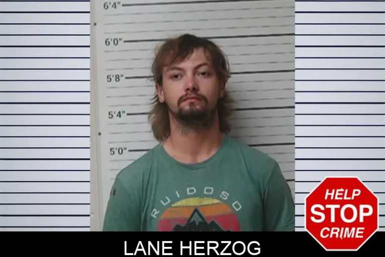 Lane Herzog