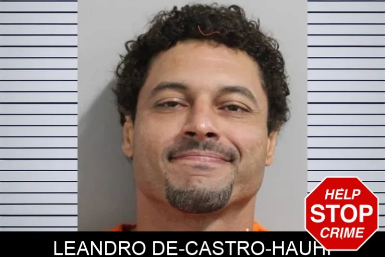 Leandro De-Castro-Hauhi