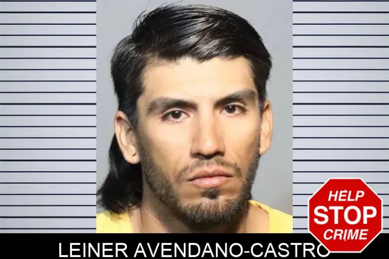 Leiner Avendano-Castro