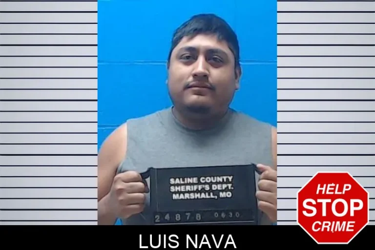 Luis Nava