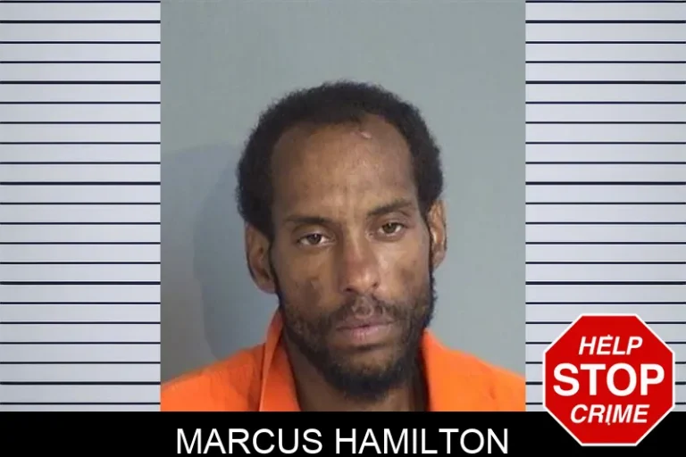 Marcus Hamilton