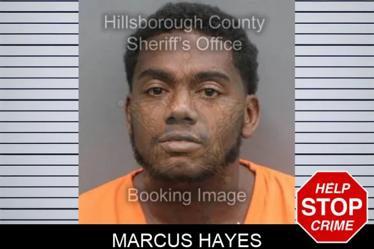 Marcus Hayes
