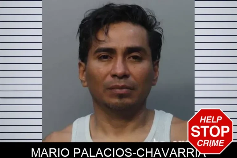 Mario Palacios-Chavarria