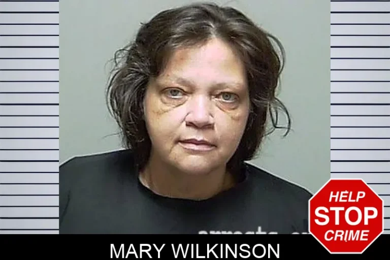 Mary Wilkinson