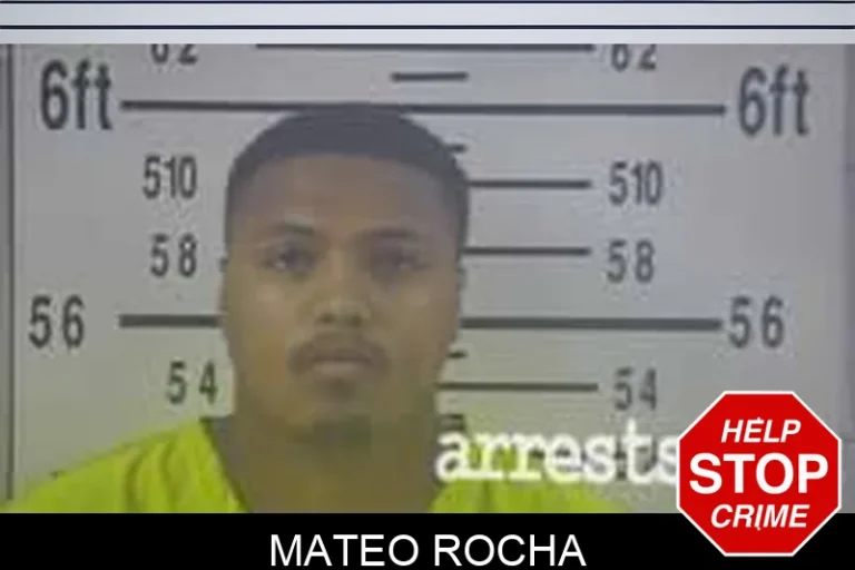 Mateo Rocha