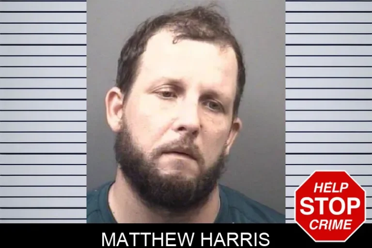 Matthew Harris