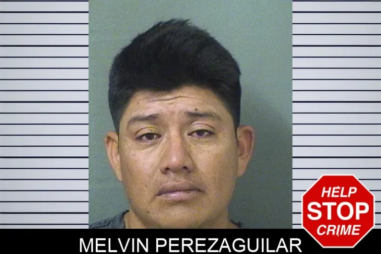 Melvin Perezaguilar