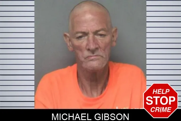 Michael Gibson