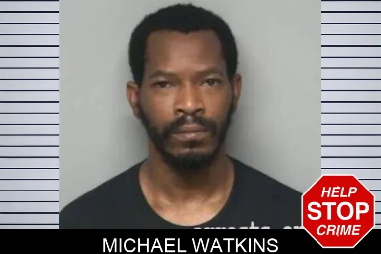 Michael Watkins